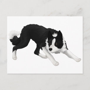Border collie staart briefkaart