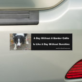 Border Collie Stare Cute Dog Bumpersticker (Op auto)