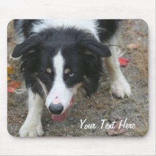 Border Collie Stare Dog Mousepad Muismat