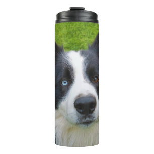 Border Collie Thermosbeker