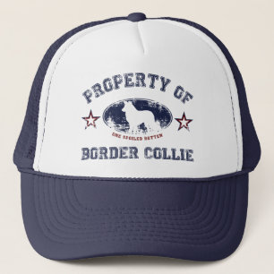 Border Collie Trucker Pet