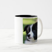 Border Collie Tweekleurige Koffiemok (Voorkant rechts)