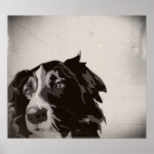 Border Collie urban no. 1 art poster (Voorkant)