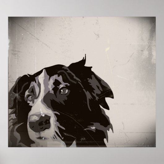 Border Collie urban no. 1 art poster (Voorkant)