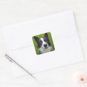 Border Collie Vierkante Sticker (Envelop)