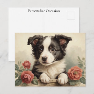 Border Collie Vintage Mooie Puppy Hondenportret Ro Feestdagenkaart
