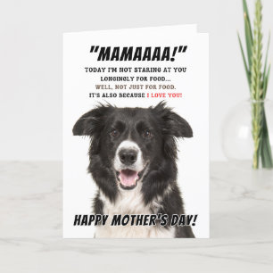 Border Collie Wenskaart Bedankkaart