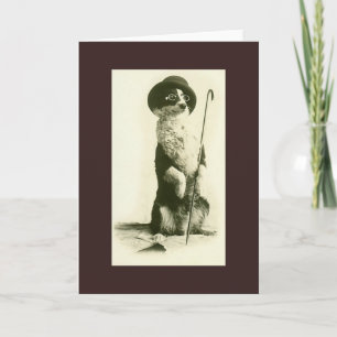  Border Collie Wenskaart Kaart