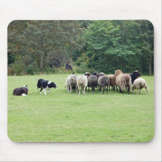 Border Collie werken Muismat