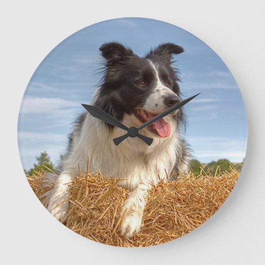 Border Collie Working Dog Grote Klok (Voorkant)