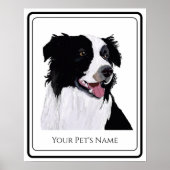 Border Collie Zwart en Witte Huisdier Poster (Voorkant)