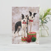 Border Collies Feestdagenkaart (Staand voorkant)
