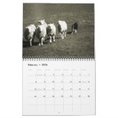 Border Collies Galore Kalender (Feb 2026)