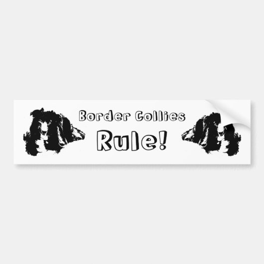 Border Collies Rule Cute Dog Bumpersticker (Voorkant)