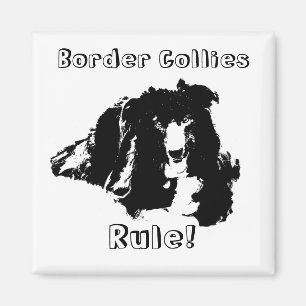 Border Collies Rule Funny Dog Magnet Magneet
