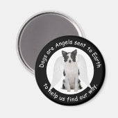 Border Collies zijn engelen magneet (Voorkant / Achterkant)