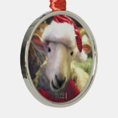 Border Leicester Lamb Garth Ornament (Rechts)