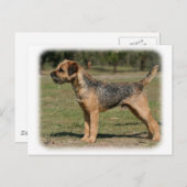 Border Terrier 9Y325D-033 Briefkaart (Voorkant / Achterkant)