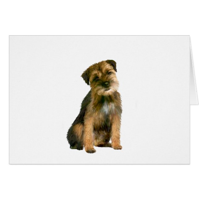 Border terrier (B) (Voorkant Horizontaal)
