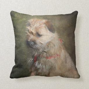 Border Terrier Cushion Kussen