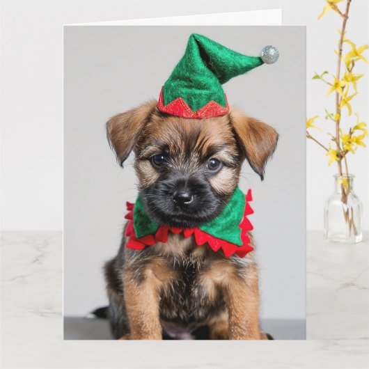 Border Terrier Elf Puppy Kerst Kaart (Gele Bloem)