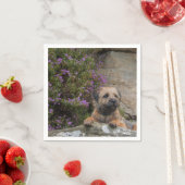 Border Terrier Papieren servetten (Insitu)