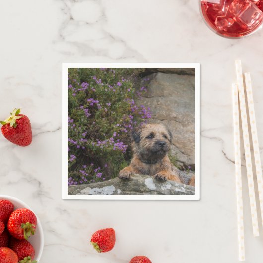 Border Terrier Papieren servetten (Insitu)
