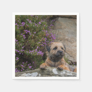 Border Terrier Papieren servetten