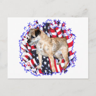 Border Terrier Patriot Briefkaart