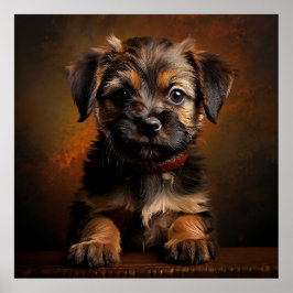 Border Terrier Puppy Poster