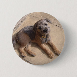 Border Terrier Puppy Ronde Button 5,7 Cm