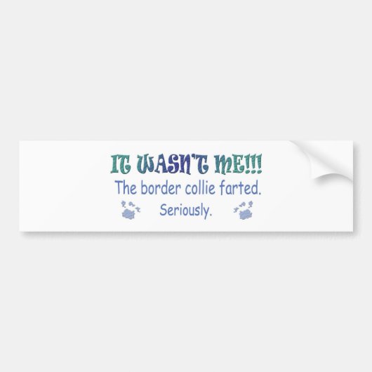 BorderCollie Bumpersticker (Voorkant)