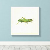 Bordered Print of Green Grasshopper (Insitu (Houten vloer))