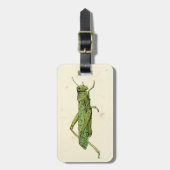 Bordered Print of Green Grasshopper Bagagelabel (Voorkant verticaal)