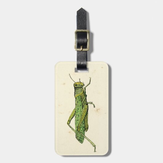 Bordered Print of Green Grasshopper Bagagelabel (Voorkant verticaal)
