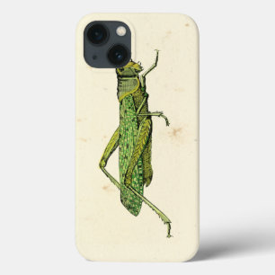 Bordered Print of Green Grasshopper iPhone 13 Hoesje