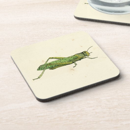 Bordered Print of Green Grasshopper Drankjes Onderzetter (Linkerzijde)
