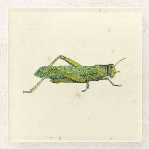 Bordered Print of Green Grasshopper Glazen Onderzetter