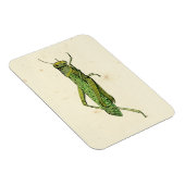 Bordered Print of Green Grasshopper Magneet (Rechterzijde)