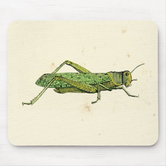 Bordered Print of Green Grasshopper Muismat (Voorkant)