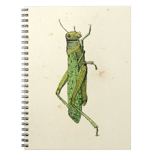 Bordered Print of Green Grasshopper Notitieboek (Voorkant)