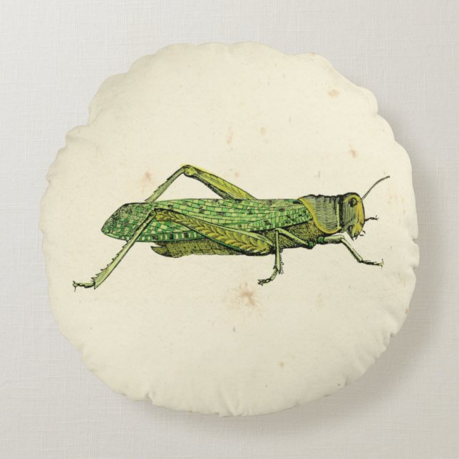 Bordered Print of Green Grasshopper Rond Kussen (Voorkant)