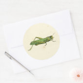 Bordered Print of Green Grasshopper Ronde Sticker (Envelop)