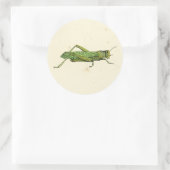 Bordered Print of Green Grasshopper Ronde Sticker (Tas)