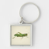 Bordered Print of Green Grasshopper Sleutelhanger (Voorkant)