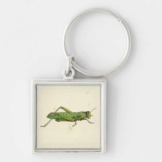 Bordered Print of Green Grasshopper Sleutelhanger (Voorkant)