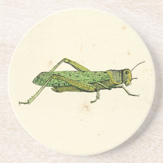 Bordered Print of Green Grasshopper Zandsteen Onderzetter (Voorkant)
