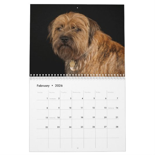 Bordure Chien Terrier, Moyen, Calendrier blanc (Feb 2026)