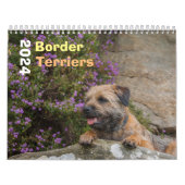 Bordure Chien Terrier, Moyen, Calendrier blanc (Protection)