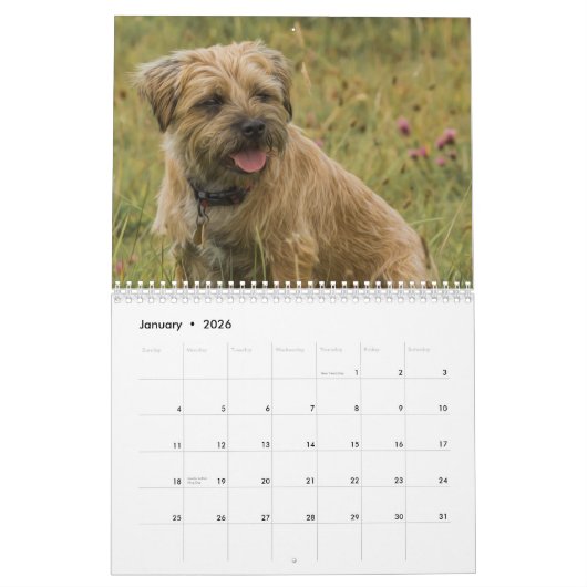 Bordure Chien Terrier, Moyen, Calendrier blanc (Jan 2026)